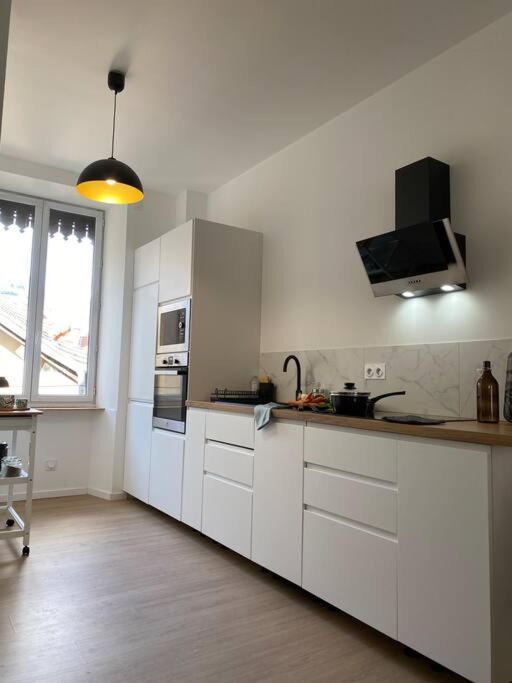 Le Condorcet. Charme Et Confort A Championnet Grenoble Exterior photo